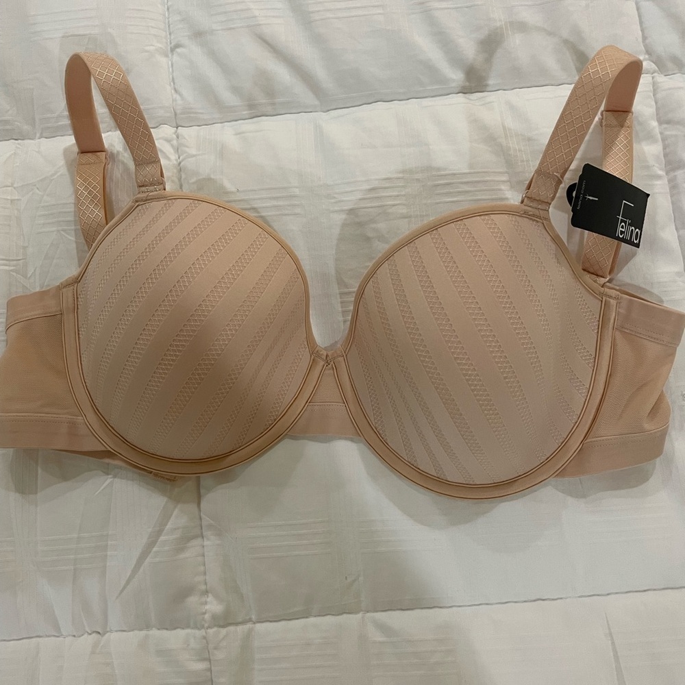 FELINA bra